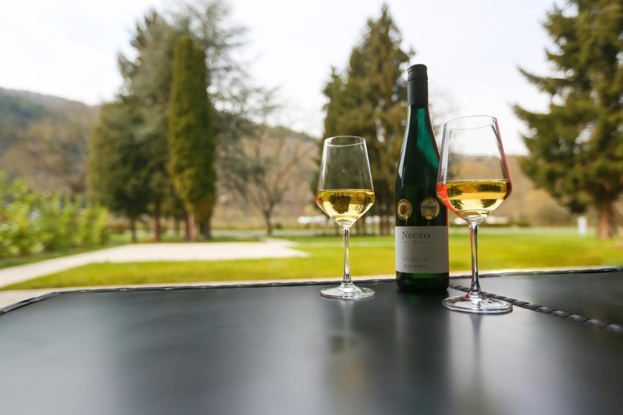 トラーベン・トラールバッハRieslingresidenzアパートメント エクステリア 写真